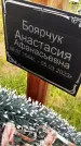 Захоронение ID 3574984