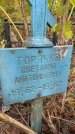 Захоронение ID 3574999