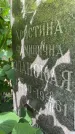 Захоронение ID 3575055