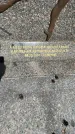 Захоронение ID 3575179