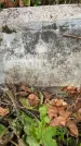 Захоронение ID 3575245