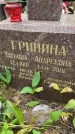 Захоронение ID 3575276