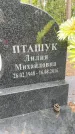 Захоронение ID 3575285