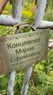 Захоронение ID 3575397
