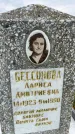 Захоронение ID 3575403