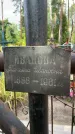Захоронение ID 3575468