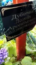 Захоронение ID 3575493