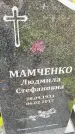 Захоронение ID 3575504