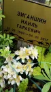 Захоронение ID 3575505