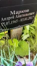 Захоронение ID 3575533