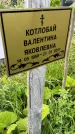 Захоронение ID 3575566