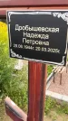 Захоронение ID 3575604
