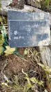 Захоронение ID 3575617
