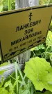 Захоронение ID 3575733