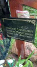Захоронение ID 3575891