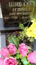 Захоронение ID 3576036