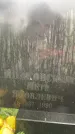 Захоронение ID 3576046