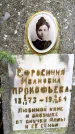 Захоронение ID 3576053