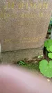 Захоронение ID 3576099