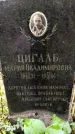 Захоронение ID 3576136