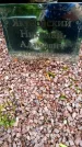Захоронение ID 3576138