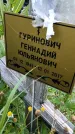 Захоронение ID 3576181