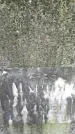 Захоронение ID 3576269