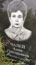 Захоронение ID 3576294