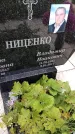 Захоронение ID 3576313