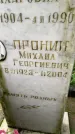Захоронение ID 3576345