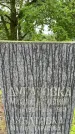 Захоронение ID 3576383