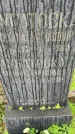 Захоронение ID 3576384