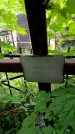 Захоронение ID 3576408