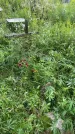 Захоронение ID 3576438