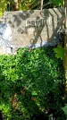 Захоронение ID 3576465