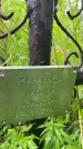 Захоронение ID 3576501