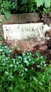 Захоронение ID 3576581
