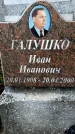 Захоронение ID 3576713