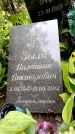 Захоронение ID 3576766