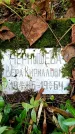 Захоронение ID 3576783