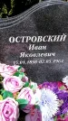 Захоронение ID 3576829