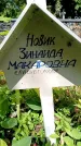 Захоронение ID 3576832
