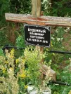 Захоронение ID 3589710