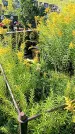 Захоронение ID 3576851