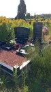 Захоронение ID 3576859