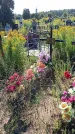 Захоронение ID 3576861