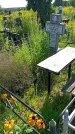 Захоронение ID 3576893