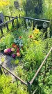 Захоронение ID 3576894