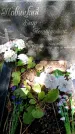 Захоронение ID 3576966