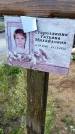 Захоронение ID 3577002
